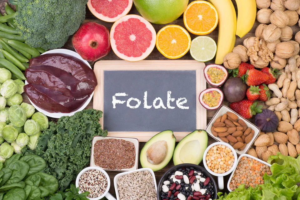 The Benefits of Folate (L-5-MTHF-Ca) on Longevity and Fertility